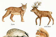 Watercolor Forest Animals Clipart, a Graphic by svetodesign (Thumbnail 5 of 12)