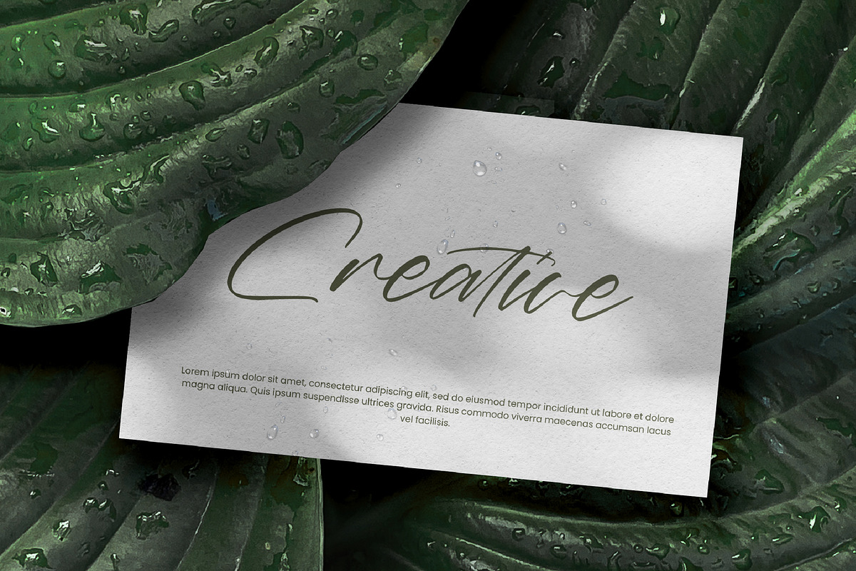 Marie Glachith Beautiful Script Font, a Script Font by Letterena Studios Script (Photo 5 of 15)
