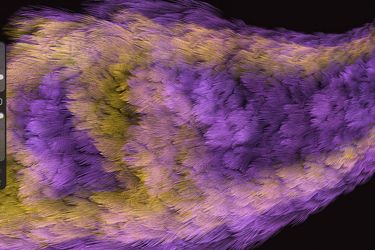 Plumage Atelier. Procreate Brushes, a Brush Add-On by Eldar Zakirov's (Photo 16 of 25)