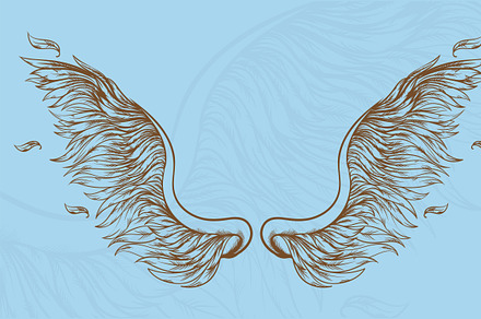 Angel wings hand drawn set