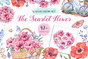 -90% OFF - Watercolor Flowers Bundle, a Decorative Illustration by Irina Diasli (Thumbnail 3 of 12)
