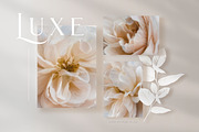 Luxe Oil Paint Floral Graphics, an Illustration by Eclectic Anthology (Thumbnail 3 of 17)