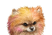 Puppies Dog Breeds Big Bundle 135Pcs, an Animal Illustration by Dneprstock (Thumbnail 26 of 68)