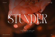 Stunder Modern Elegant Serif Font