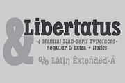 Libertatus fonts, a Slab Serif Font by deFharo (Thumbnail 2 of 5)