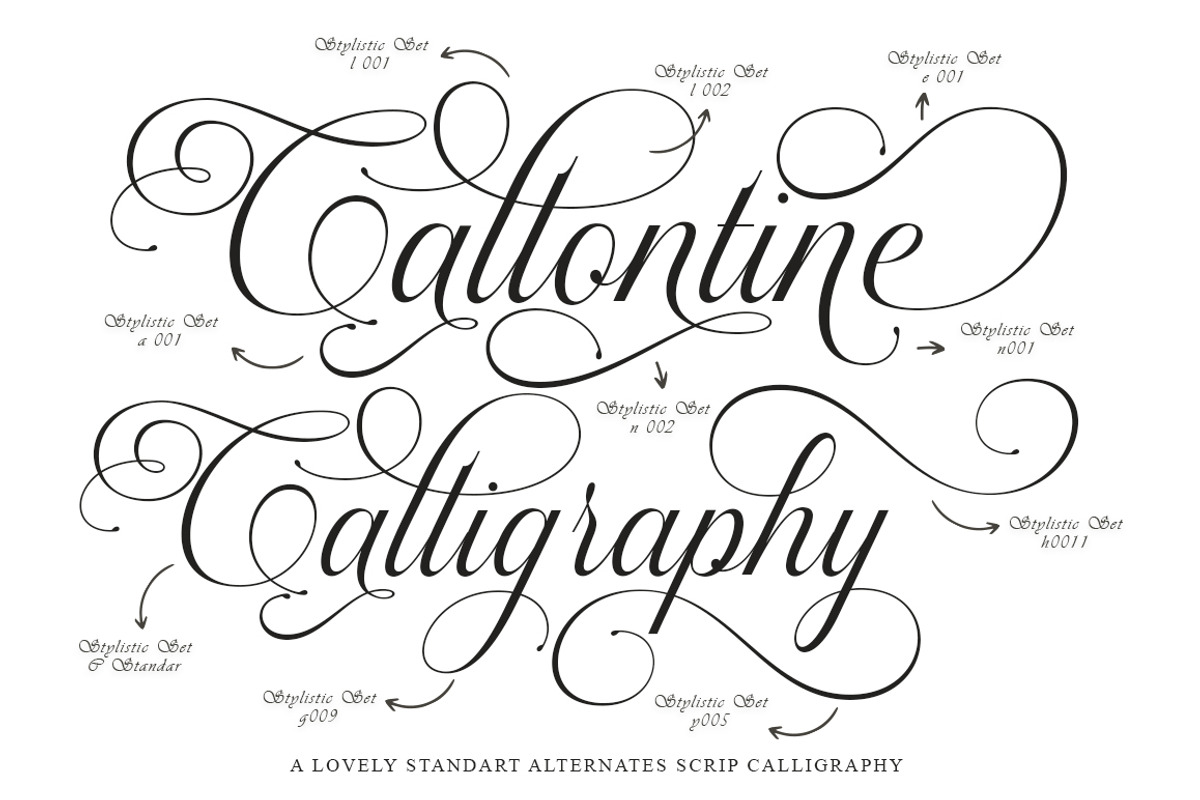 Callontine Script Pro, a Script Font by IM Studio (Photo 2 of 13)
