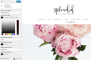 Splendid Wordpress Theme, a WordPress Template by brave + beautiful designs (Thumbnail 3 of 5)