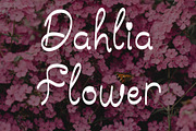 Dancing – Modern Calligraphy Font, a Script Font by Bercreative (Thumbnail 5 of 8)