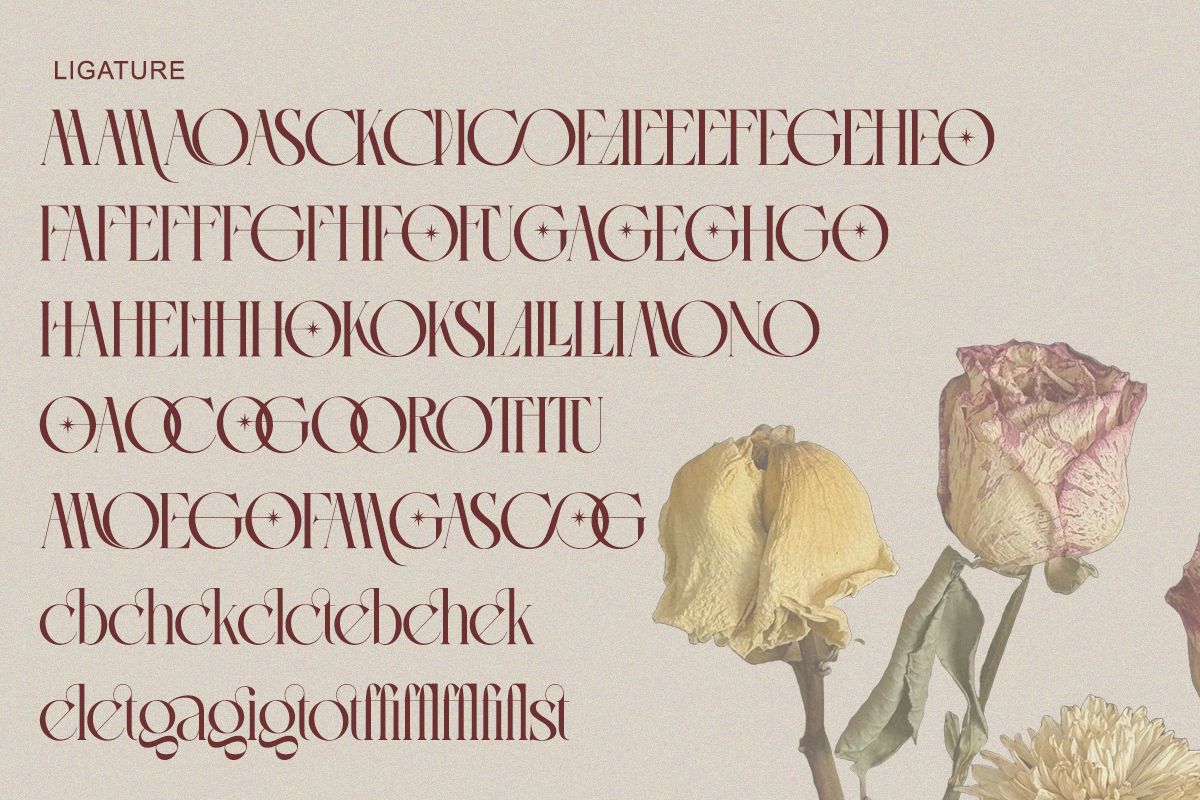 Cogofonte - Modern Geometric Serif, a Serif Font by Qweera Studio (Photo 8 of 12)