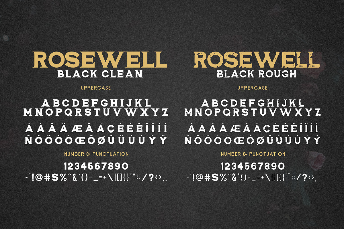 Rosewell Font Collection preview 8