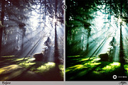 Split Toning leaks Lightroom Presets, an Action Add-On by Sleeklens (Thumbnail 5 of 5)