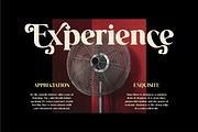 Ravena – Elegant Retro Serif Font, a Serif Font by Brand Earth (Thumbnail 6 of 7)