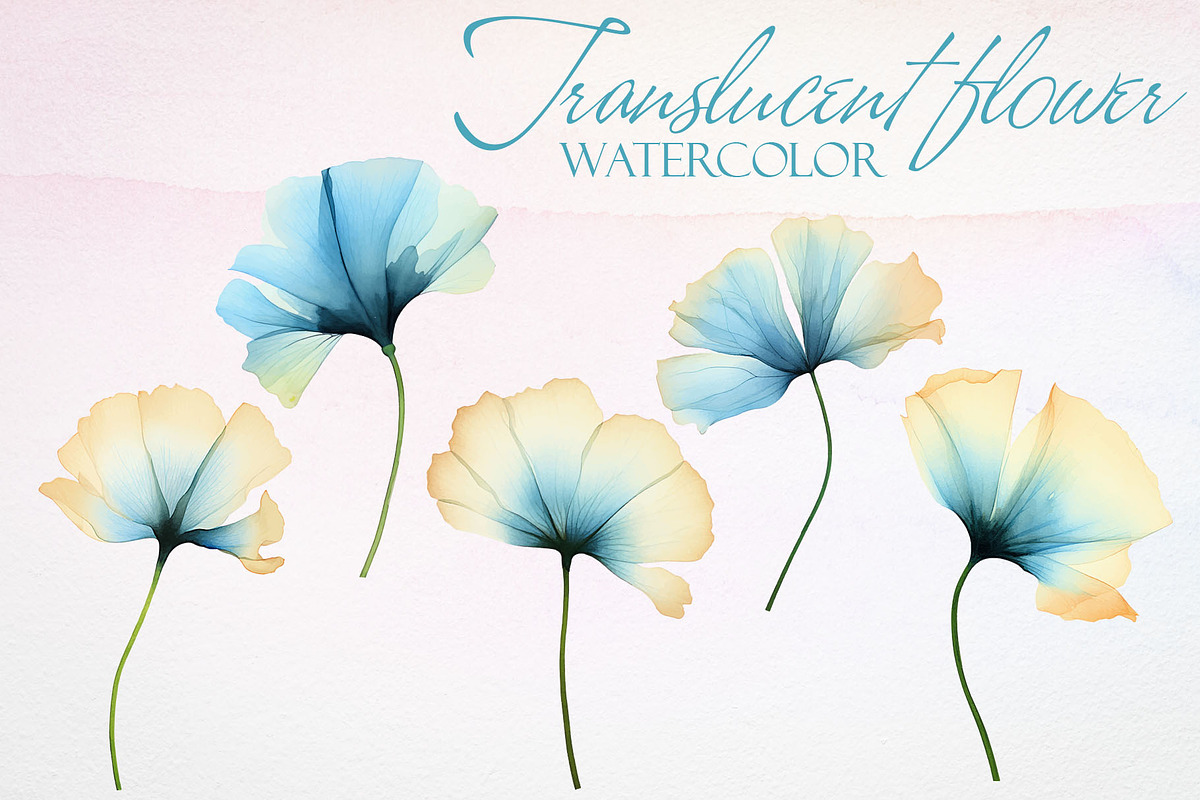 Watercolor Translucent Flower Vector, a Pattern Graphic by Deckar_art (Photo 1 of 5)