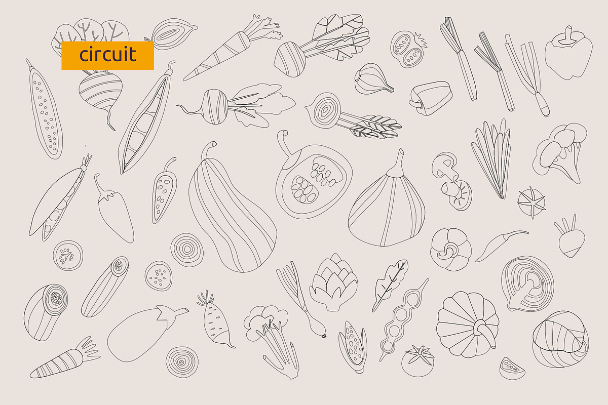 Vegetables, vector, a Food Illustration by Olha Kalyta (Photo 9 of 10)