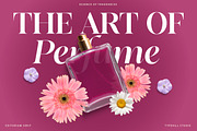 Editorium Serif, a Serif Font by Typehill (Thumbnail 3 of 14)