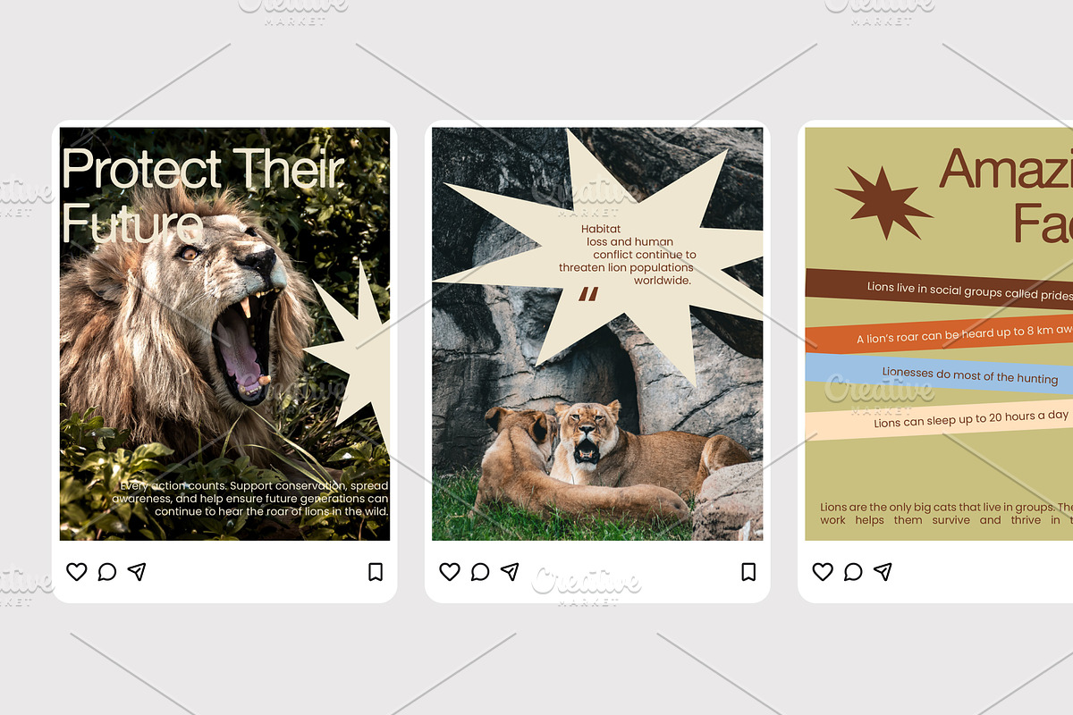 Roar For Lions - Instagram Post, a Social Media Template by Izdihaar_Studio (Photo 2 of 4)