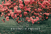 Physalis - Lightroom preset, a Preset Add-On by LovelyPhotoPrints (Thumbnail 1 of 5)