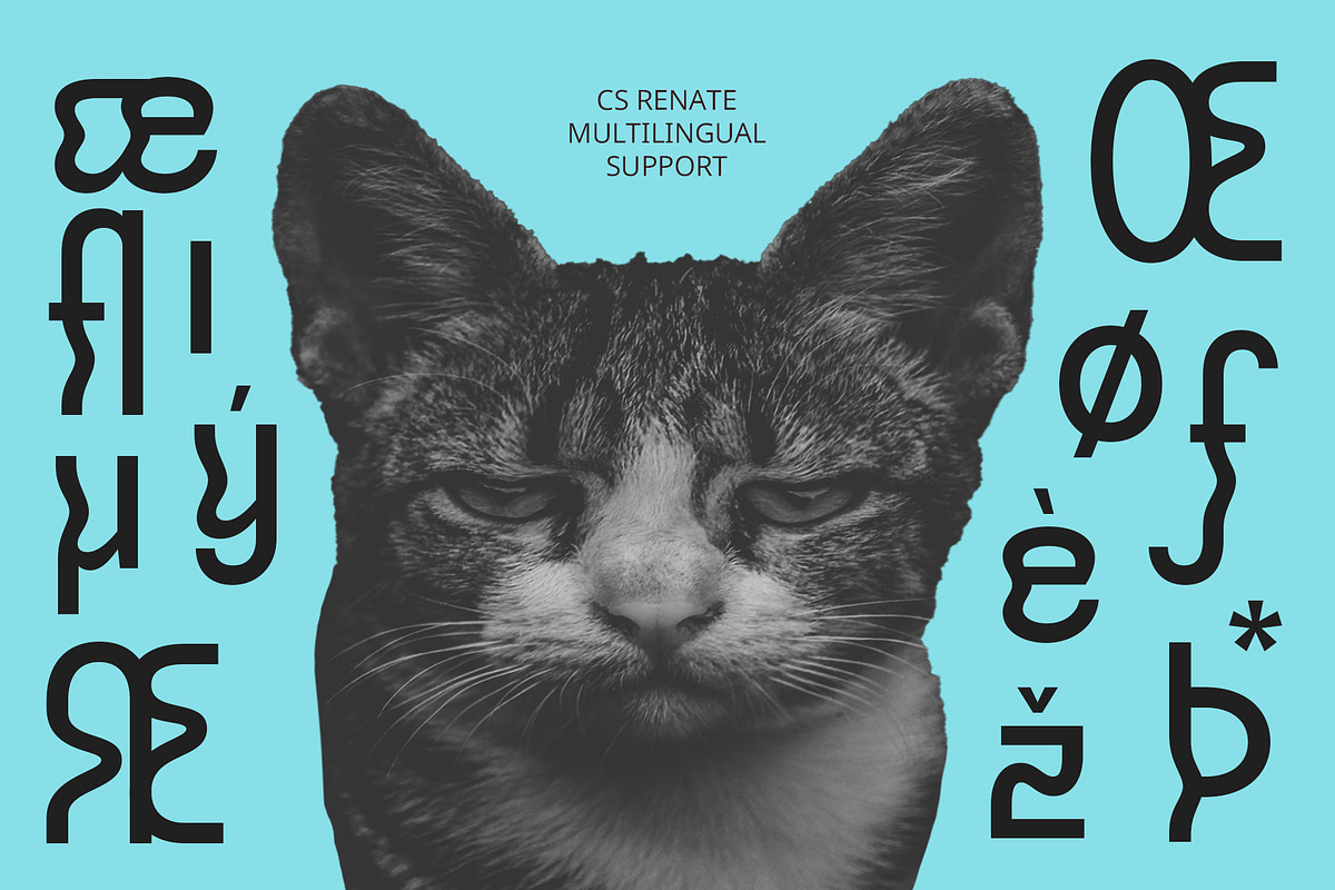 CS Renate – Trippy Font, a Sans Serif Font by Craft Supply Co. (Photo 6 of 8)