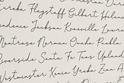 Pasttemy | Monoline Stylish Script, a Script Font by Denustudios (Thumbnail 9 of 15)