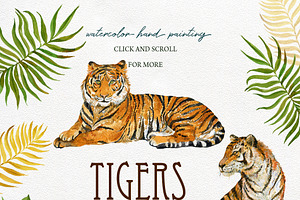 Tigers .Clipart Illustrations