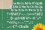Ordinal Modern Display Serif Font, a Serif Font by timelesstype.co (Thumbnail 18 of 20)