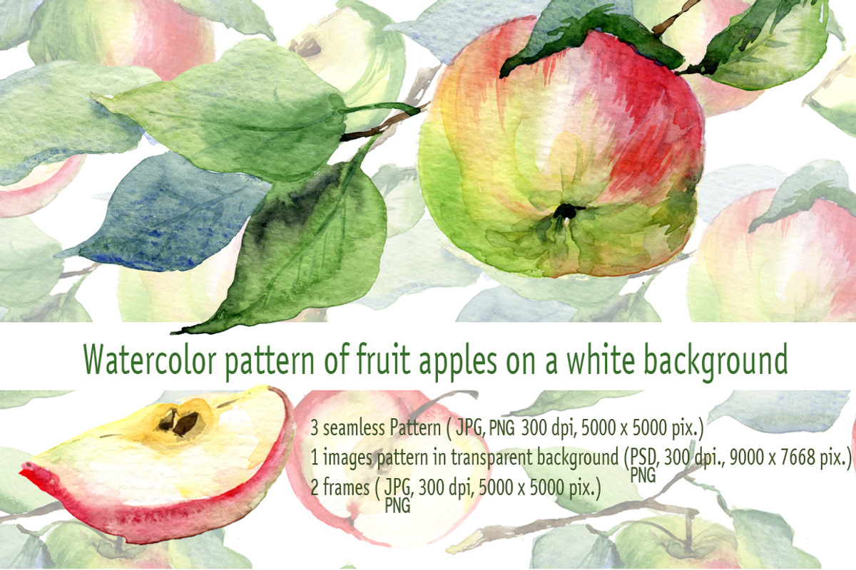 Watercolor illustrations of apples, a Decorative Illustration by WatercolorArt (Photo 1 of 4)