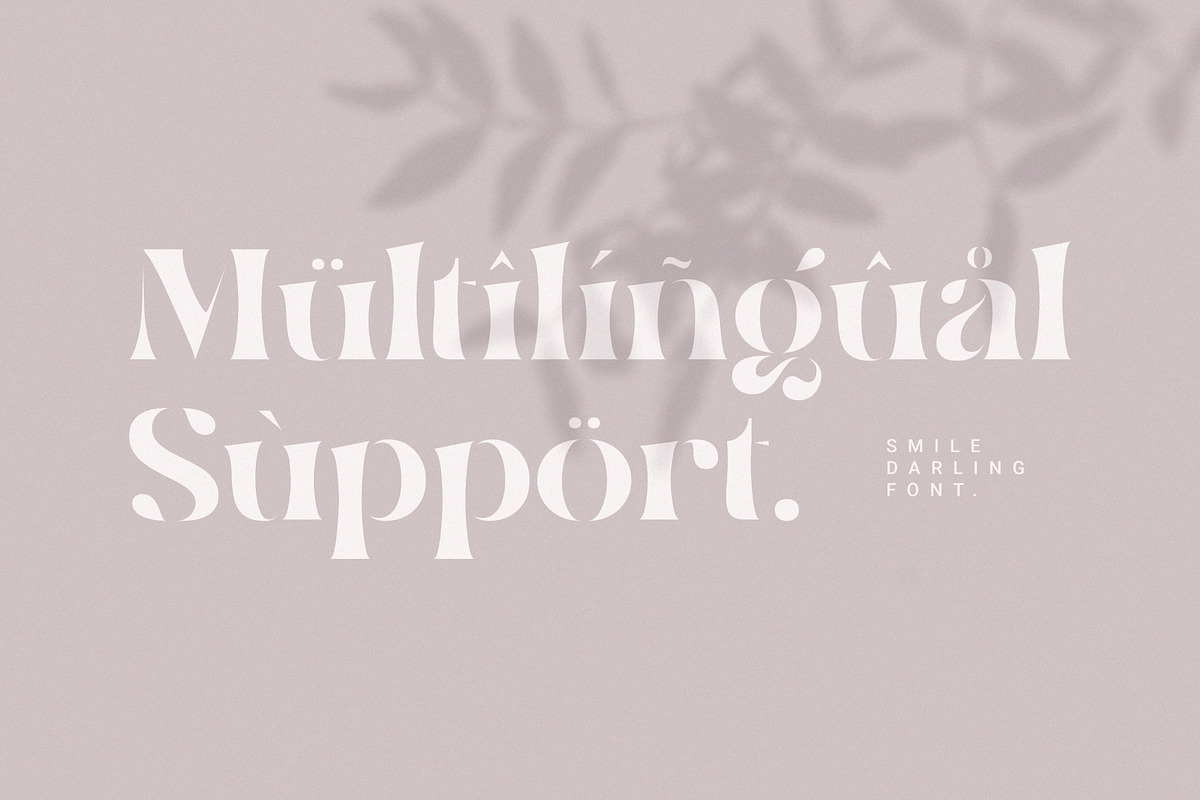 Smile Darling, a Serif Font by Prioritype Co (Photo 10 of 10)