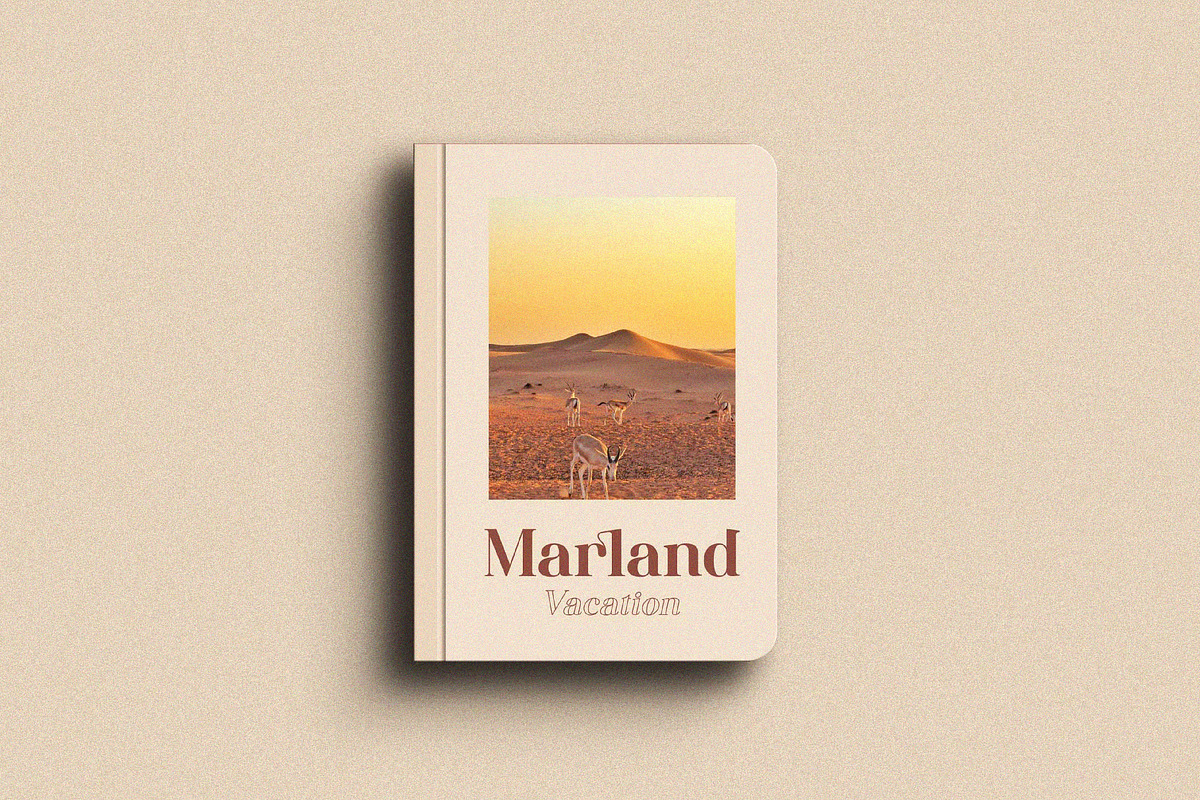 Jackal Holiday - Stylish Serif Font, a Serif Font by Aqeel_Art (Photo 6 of 10)