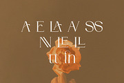 DENOVA // Elegant Luxury Font, a Serif Font by ToniStudio (Thumbnail 9 of 10)