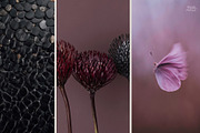 Dark Floral & Mineral Stock Photos, a Nature Photo by Tale.Haus (Thumbnail 16 of 17)