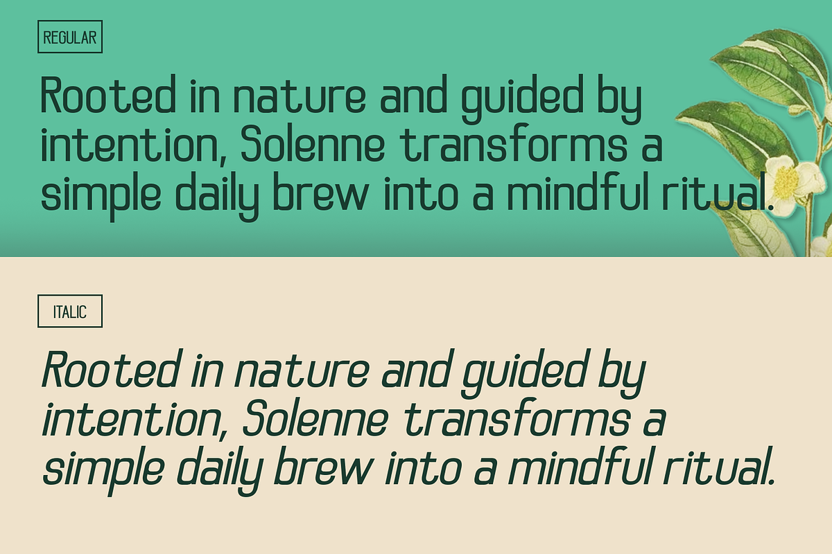 Quentra, a Sans Serif Font by CuratedType Studio (Photo 3 of 11)