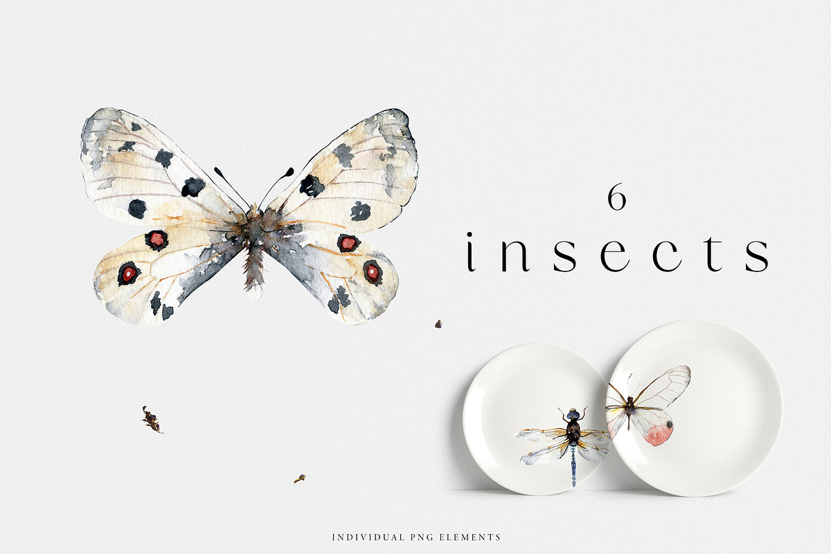 Meadow Mood. Wildflower collection, an Illustration by Diana Askarova Art (Photo 6 of 9)