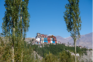 Matho Monastery in Ladakh, India