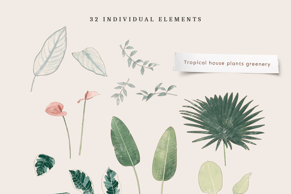 Rustic Tropical Leaves Collection, an Illustration by imajineko (Photo 10 of 13)