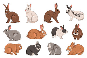 Set of rabbit or hare, bunny breed, an Animal Illustration by Elegant Solution