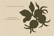 Autumn Botanicals Clipart, a Seasonal Illustration by RaDavCrafts (Thumbnail 9 of 12)