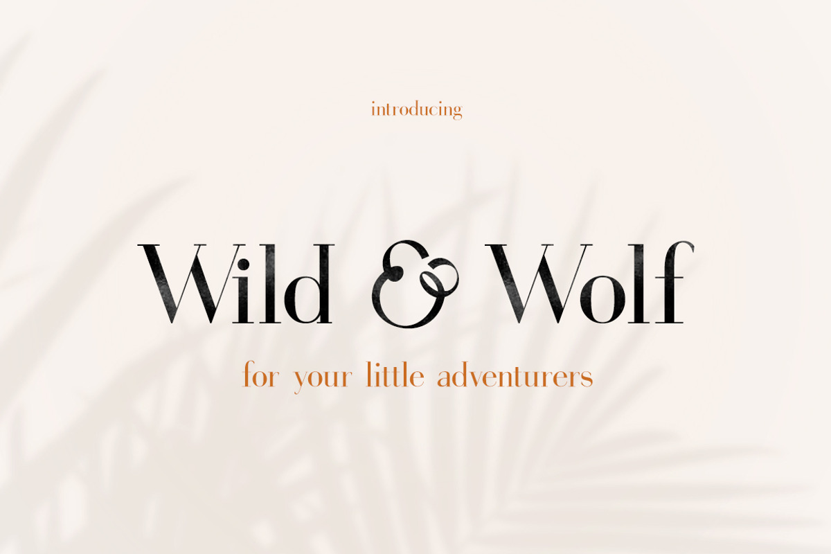 Gorgeous Serif Font preview 4