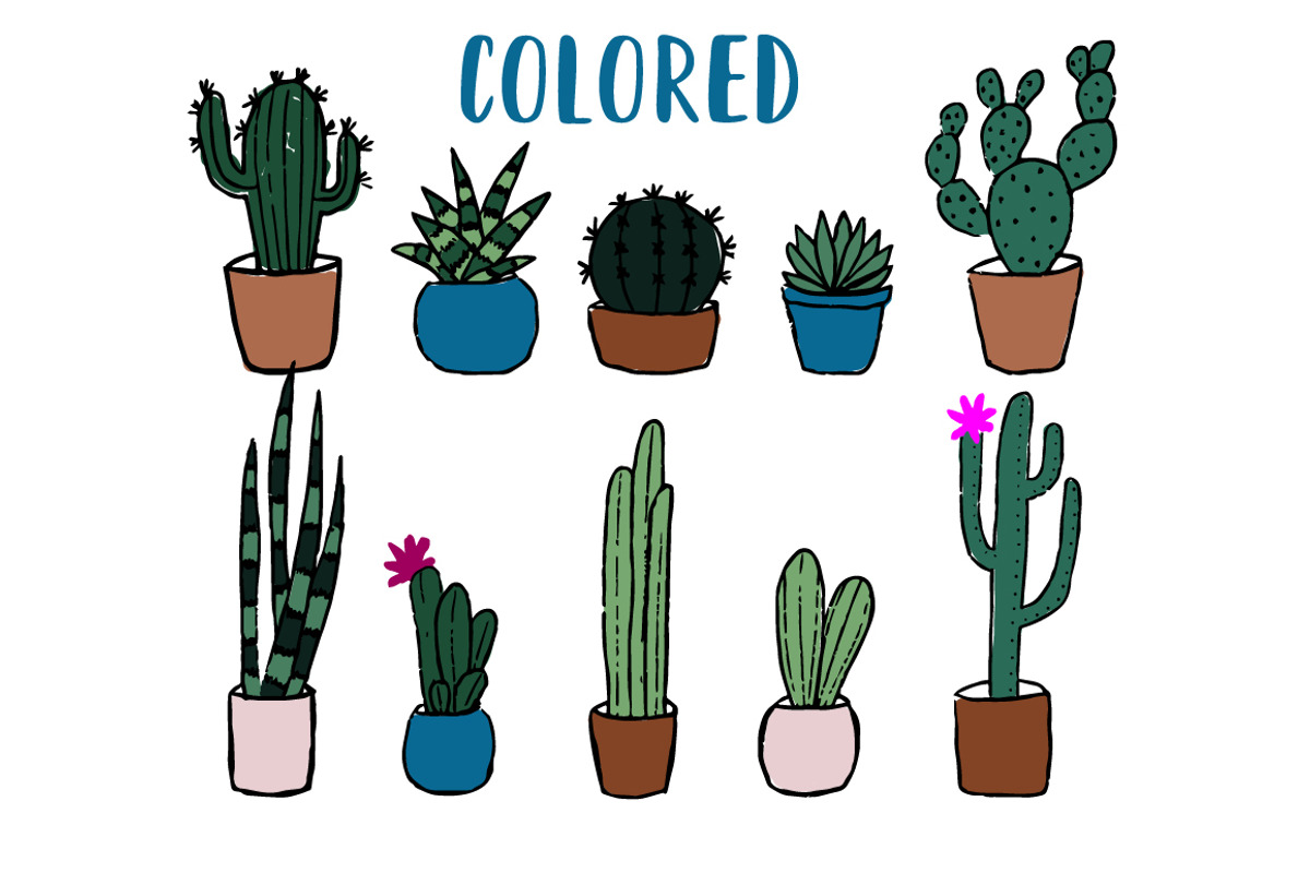 Vector Cacti and Succulents, a Decorative Illustration by 5August Art (Photo 2 of 7)