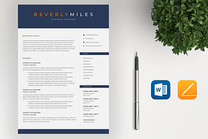 Professional Resume Template 4 Pages