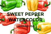 Sweet pepper watercolor set, a Food Illustration by wedraw (Thumbnail 1 of 4)
