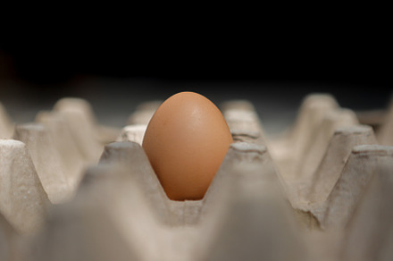 Fresh organic panel eggs on sackclot, a Food & Drink Photo by bastera