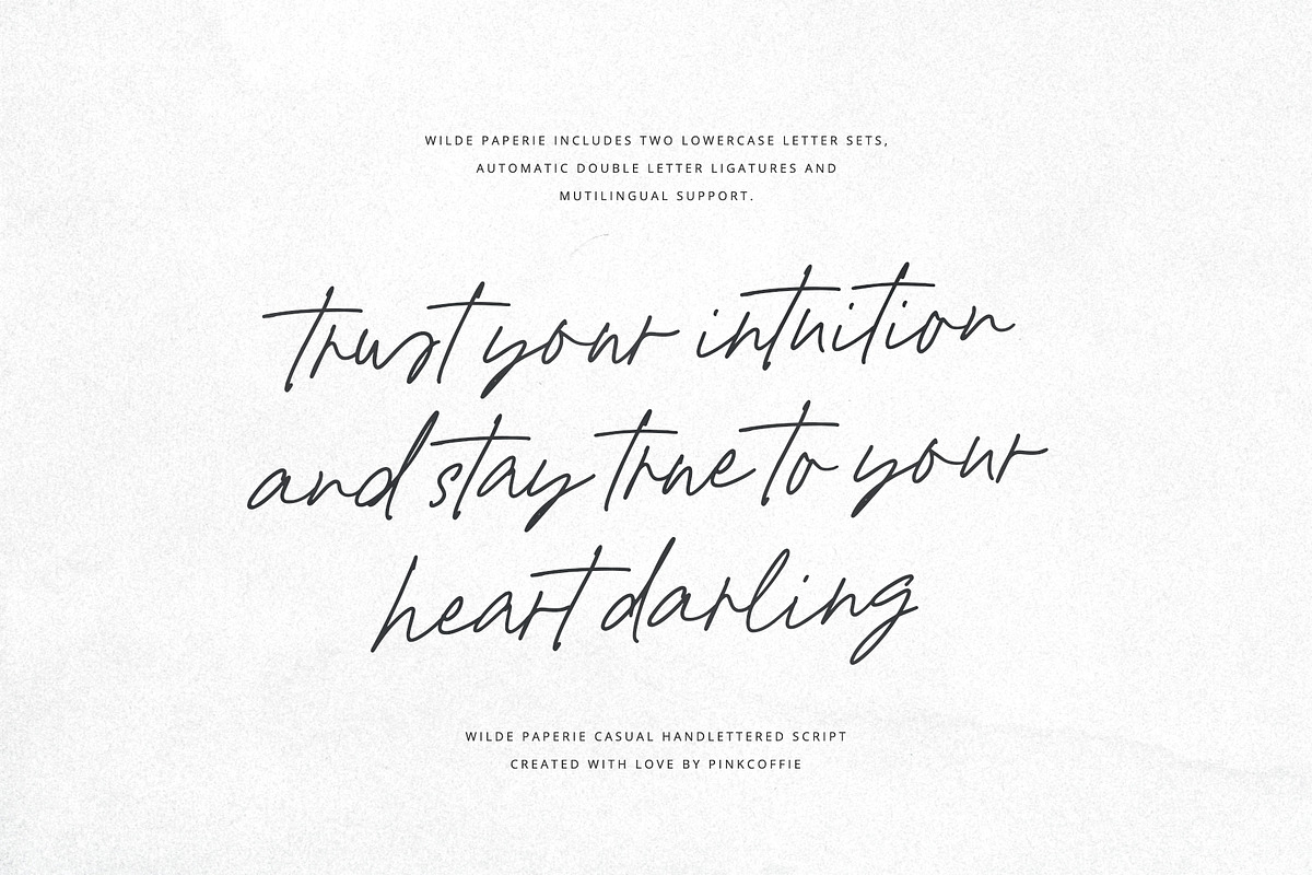 Wilde Paperie | Handwritten Script, a Script Font by Pink Coffie (Photo 3 of 11)