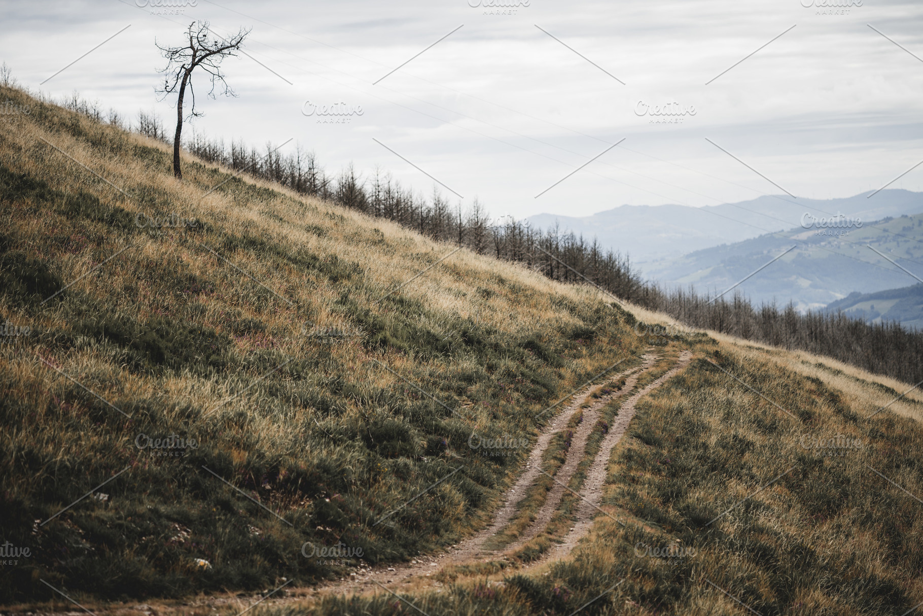 Telephoto mountain path landscape, a Nature Photo by SkyNext