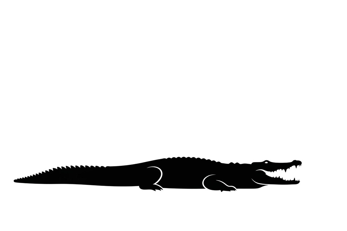 Crocodile Alligator Vector Bundle, an Illustration by jahid234 (Photo 32 of 51)