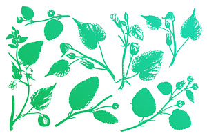 Vector Floral Element Pack