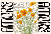 TAN - LIEBE, a Font by TanType (Thumbnail 8 of 12)