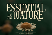 Ankora, a Serif Font by Burntilldead (Thumbnail 4 of 13)