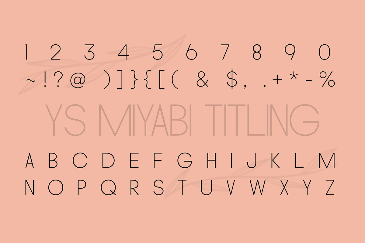Miyabi Duo Font, a Sans Serif Font by YARARÀ STUDIO (Photo 7 of 10)