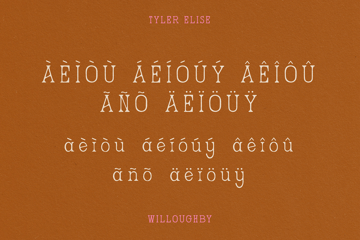 WILLOUGHBY by Tyler Elise, a Serif Font by tylerelise (Photo 6 of 7)