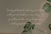 Reakity – Modern Elegant Signature, a Handwritten Font by BrandSemut (Thumbnail 6 of 11)